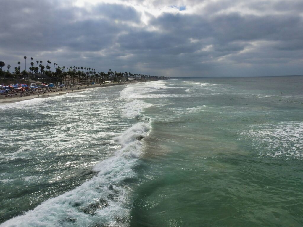 A view of a serene coastline with rolling waves and palm trees lining the beach under overcast skies.