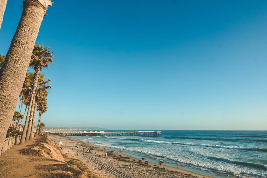 A scenic beach view in San Diego with palm trees, a long pier, and people enjoying the sand and waves.