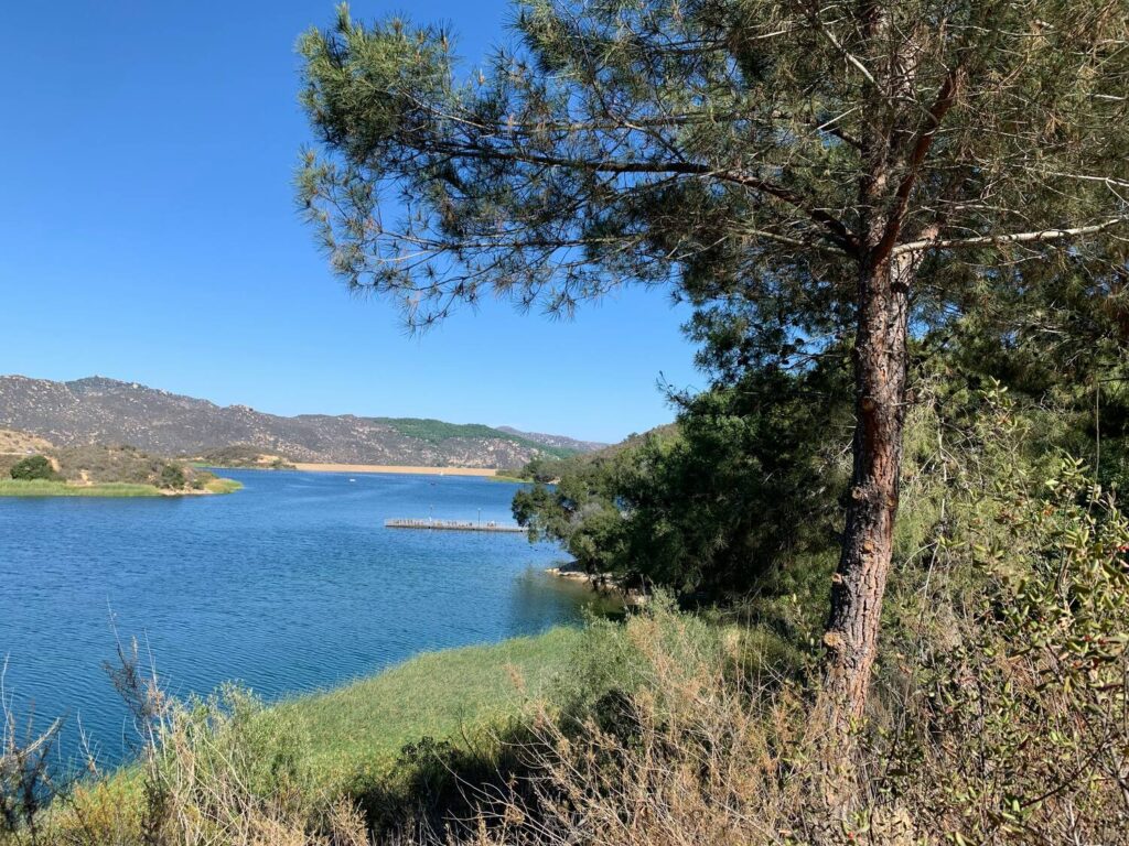A lakeside view framed by a tree with hills and a pier in the background.