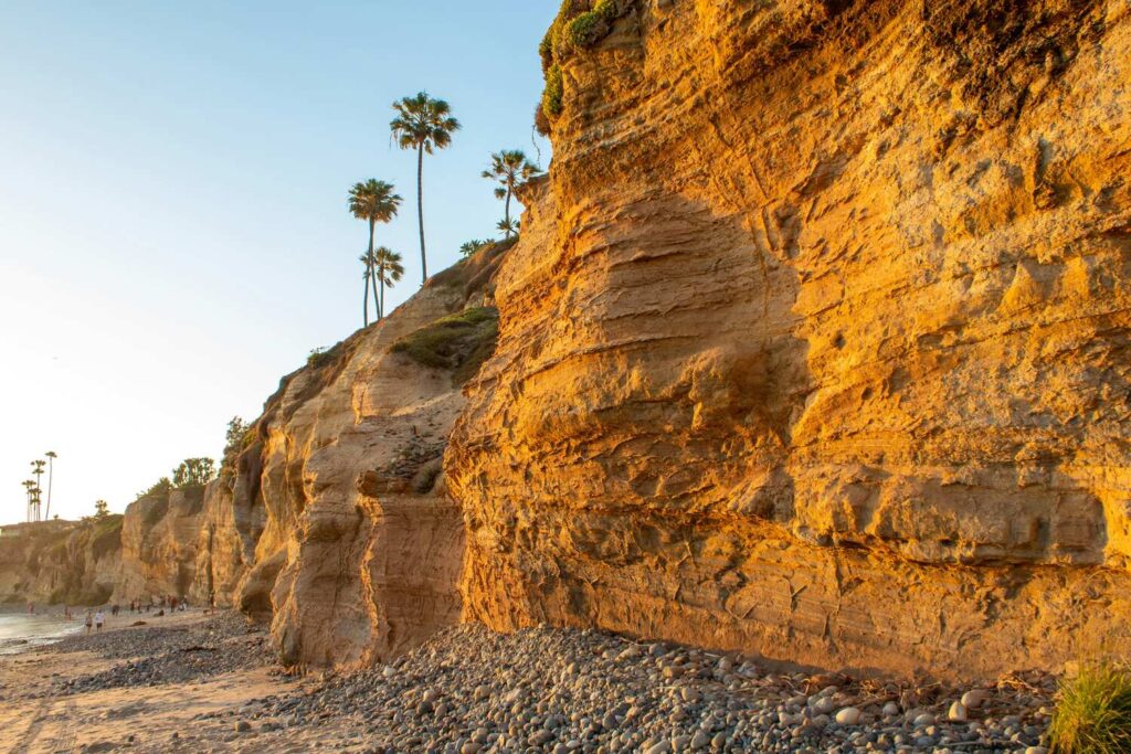 Golden cliffs and tall palm trees line a rocky beach at sunset in Pacific Beach, San Diego