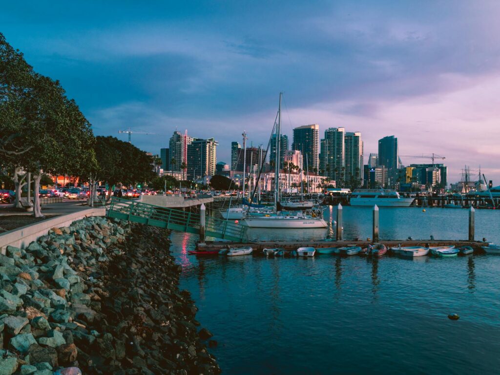 Marina at dusk with boats and city skyline in the background