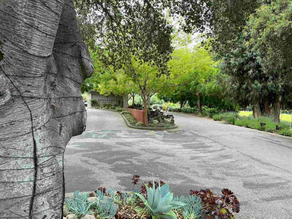 Entrance to residential community in Carmel Valley